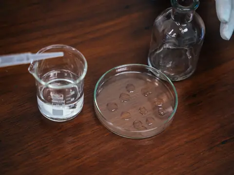 A beaker of water and a petri dish on a wooden table